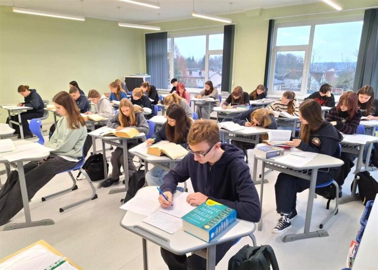 Meninio vertimo konkursas